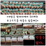 [사진有]한명이 요구르트 50개먹기란?