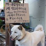 <b>개밥</b>그릇돌려주세요