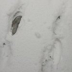 18년만에 영국인들 모두 <b>일안</b>하고 집에서놀다!