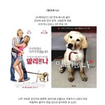 2009년, 원작을 영화화 한 <b>must</b> see 무비s