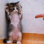 <b>외국</b>유학갓다온커플은