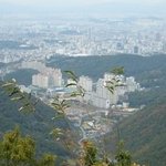 밤 11시에 무등산을 <b>제패</b> 했습니다. 사진有