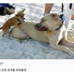 아가씨~<b>홍콩</b>보내줄깨~~ㅎ