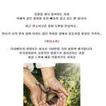 평.생.감.동. 을 <b>선사</b>하는 동물이 주인공인 영화들