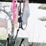 <b>조금</b>만더힘을내