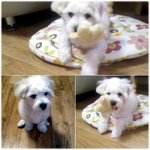 우리똥이~
