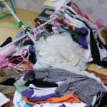 [<b>사진</b>有]알바끝내고<b>집</b>에와서본엄청난그것