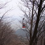 2009.2.15 <b>아비</b>규환 사고 현장(이미지 및 영상)