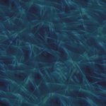 바람부는 <b>들판</b>