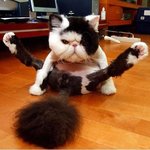 <b>체조</b>중입니다