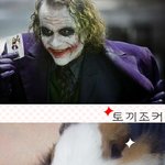다크나이트 <b>조커</b> 토끼