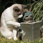 <b>다음</b>페이지 넘겨봐