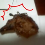 [사진有] 배달 50분걸린것도 모자라 닭털까지 붙어있는 굽x치킨ㄷㄷ;