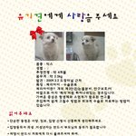 유기견에게 사랑을 주세요♥ (믹스 <b>여아</b>)