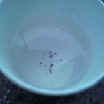 자판기에 코코아를뽑았는데.....사진 有