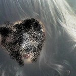 운명적인 그녀에 대한 이야기에요...사진(ㅇ)