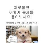 공부하다 <b>지루</b>하면 ?!
