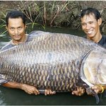 <b>대물</b>입니다~