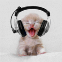 <b>자자</b>