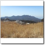 <b>금정산</b>의 봄