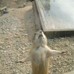 타이타닉 <b>놀이</b>ㅇ