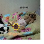 귀한<b>생명</b>이 태어났어요 ^___^
