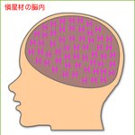 뇌구조 테스트를 해봤습니다