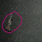 <b>롯데</b>백화점스타시티점로버스라운지가짜판매