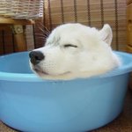 조<b>오타</b>~~