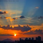 circle <b>of</b> life