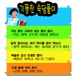 기똥찬 <b>속담</b>풀이