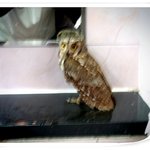 추가-사진有)세상에 이런고등학교가...