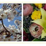 이봐 그러지 말고 봄을 좀 좋아해보지 않겠나