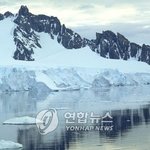 스타들과 함께하는 'save <b>the</b> penguin'(펭귄지키기)