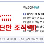 [사진有] <b>소녀</b>시대<b>팬들</b>의 대단한 조직력!!!