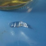 [사진/회사명有] 맥주에서 유리조각 나온 그 이후!