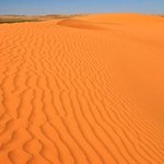 [황사대비] 황사를 대비해 몸 <b>안팍</b>의 건강을 모두 지켜보자!