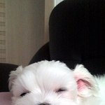 다섯살된 우리집 <b>보물</b>