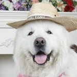 화보인생 <b>상근</b>이! 사진포즈도 척척~