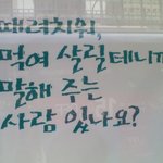 [사진 有] 날다람쥐야 나도 달 따줄께 !!