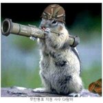다람쥐의 <b>화려</b>한 변신! 고것 참 귀엽네~
