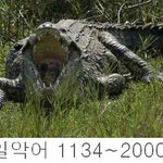 무시무시한 동물들의 <b>악력</b>! 물리면 죽는거다