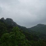 봄비속의 <b>산행</b>