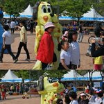 멍멍이가 사람을 찾습니다. 사진이씀ㅋㅋ