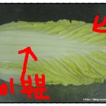 여러분은 식습관이 어떠<b>새요</b>?