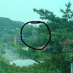 [사진有] 유리창에 이상한<b>물체</b>가..
