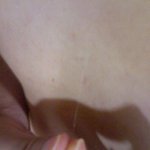< 사진유><b>내</b><b>몸</b>에 이상한하얀털이..ㅜ