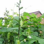 <b>변화</b>의 <b>실체</b>