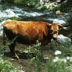 조금 남다른(?) 우리아빠를 소개합니다