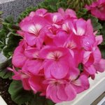 색마가 따로없네요 진짜! 어떻게 이런자를 여태껏 몰랐을까요,,